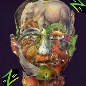 Meet your Posher, Fernando